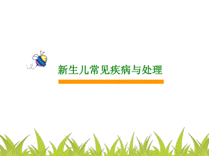 新生儿常见疾病与处理.ppt