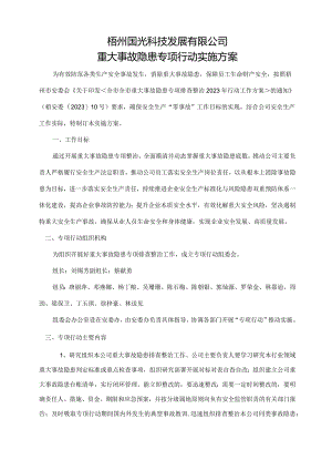 重大事故隐患专项行动实施方案模板.docx