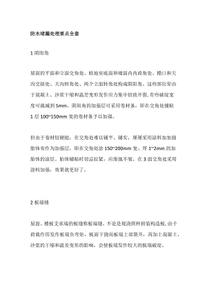 防水堵漏处理要点全套.docx