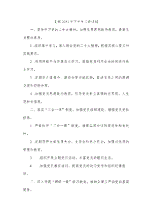 支部23年下半年工作计划.docx