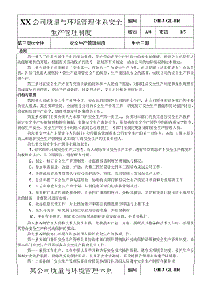 XX公司质量与环境管理体系安全生产管理制度.docx