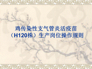 鸡传染性支气管炎.ppt