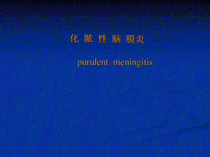 【医学课件】小儿化脓性脑膜炎 全套五十页.ppt