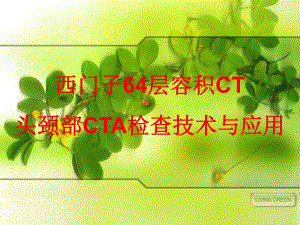 头颈部CTA.ppt