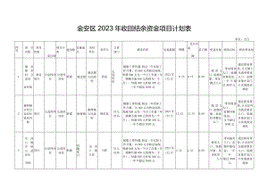 金安区2023年收回结余资金项目计划表.docx