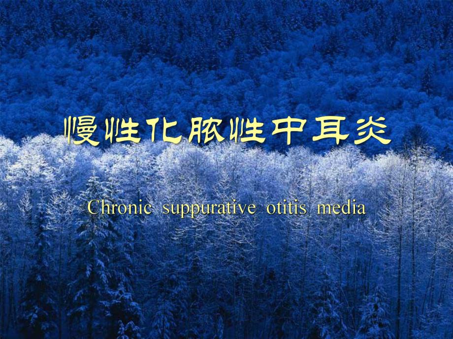 慢性化脓性中耳炎.ppt.ppt_第1页