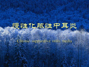 慢性化脓性中耳炎.ppt.ppt