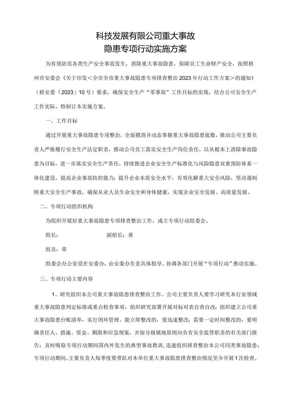 重大事故隐患专项行动实施方案.docx_第1页