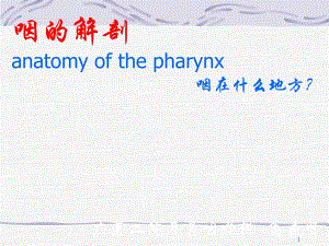 咽喉部解剖.ppt.ppt