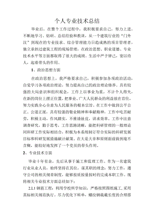 个人专业技术总结.docx