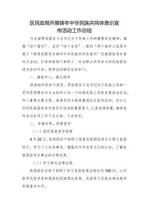 区民政局开展铸牢中华民族共同体意识宣传活动工作总结.docx