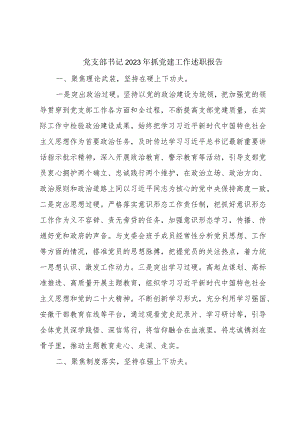党支部书记2023年抓党建工作述职报告.docx