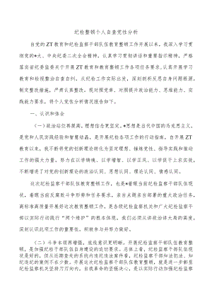 纪检整顿个人自查党性分析.docx