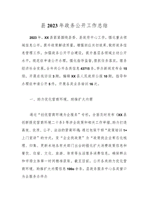 县2023年政务公开工作总结.docx
