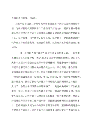 审计局在市委主题教育调研督导座谈会上的汇报发言.docx