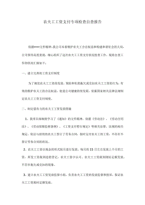农民-工工资支付专项检查自查报告.docx