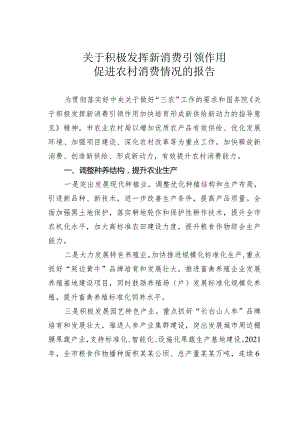 关于积极发挥新消费引领作用促进农村消费情况的报告.docx
