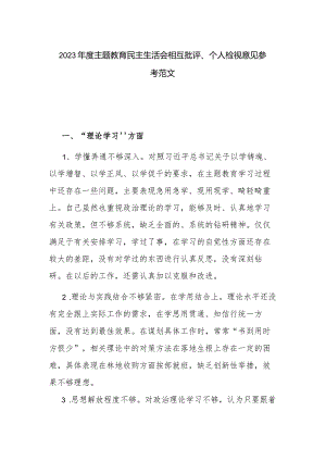 2023年度主题教育民主生活会相互批评、个人检视意见参考范文.docx