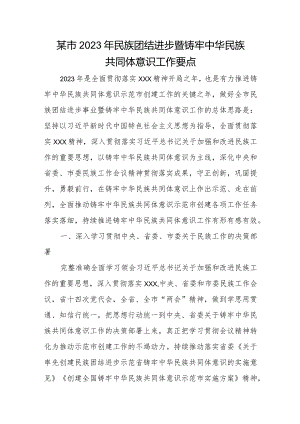 某市2023年民族团结进步暨铸牢中华民族共同体意识工作要点.docx