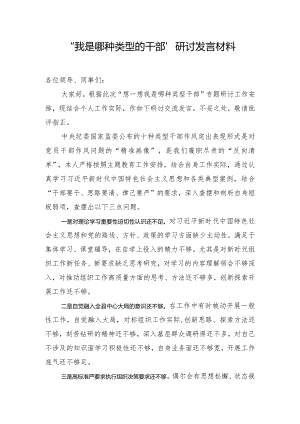 “我是哪种类型的干部”研讨发言材料.docx
