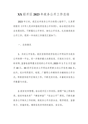 XX经开区2023年政务公开工作总结.docx