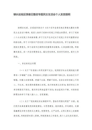 镇长巡视反馈意见整改专题民主生活会个人发言提纲.docx