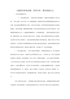 主题教育检视问题、原因分析、整改措施全文.docx