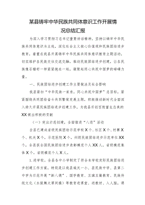 某县铸牢中华民族共同体意识工作开展情况总结汇报.docx