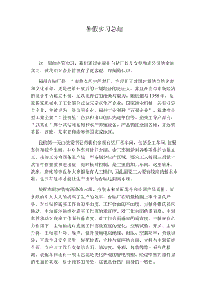 暑假实习总结.docx