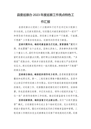 县委巡察办2023年度巡察工作亮点特色工作汇报.docx
