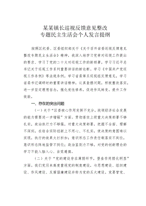 某某镇长巡视反馈意见整改专题民主生活会个人发言提纲.docx