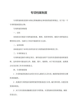 专项档案制度.docx