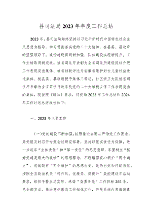 县司法局2023年年度工作总结.docx