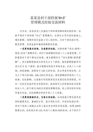 某某县村干部档案“8+3”管理模式经验交流材料.docx