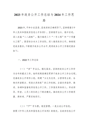 2023年政务公开工作总结与2024年工作思路.docx