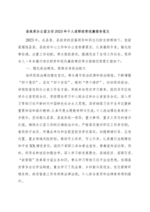 县政府办公室主任2023年个人述职述责述廉报告工作总结汇报.docx