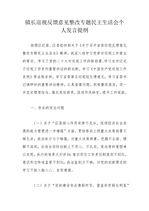 镇长巡视反馈意见整改专题民主生活会个人发言提纲.docx