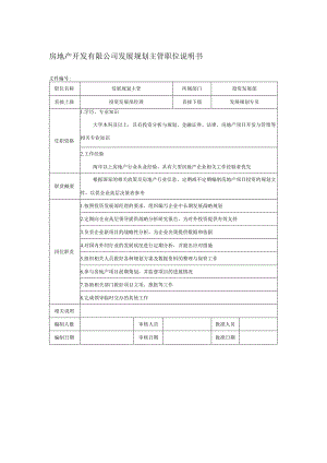 房地产开发有限公司发展规划主管职位说明书.docx