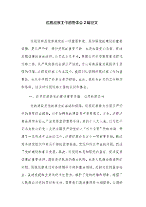 巡视巡察工作感悟体会2篇征文.docx