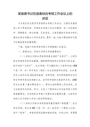 某县委书记在县委综合考核工作会议上的讲话.docx