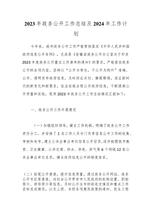2023年政务公开工作总结及2024年工作计划.docx