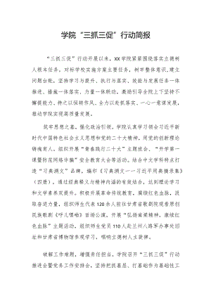 学院“三抓三促”行动简报.docx