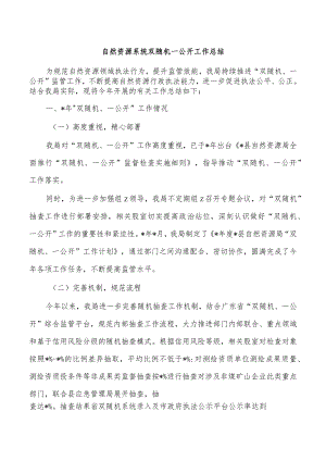 自然资源系统双随机一公开工作总结.docx
