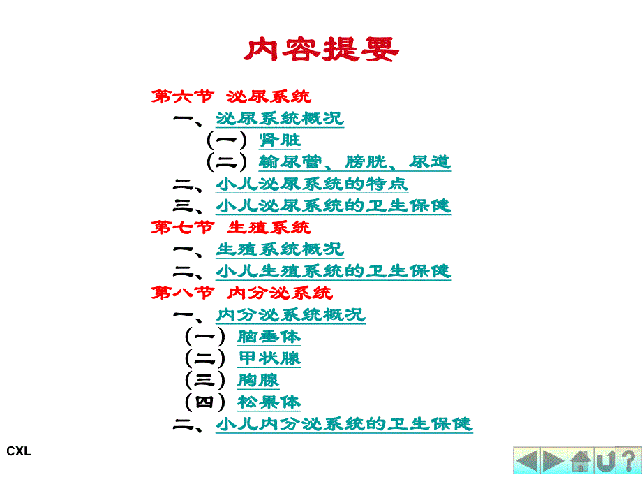 幼儿卫生学之泌尿、生殖、内分泌系统.ppt.ppt_第2页