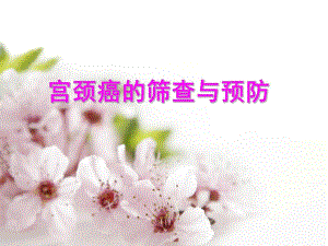 宫颈癌筛查及预防.ppt