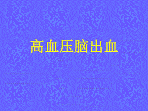 [精品]高血压脑出血ppt.ppt