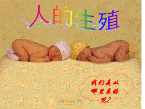 人的生殖.ppt.ppt