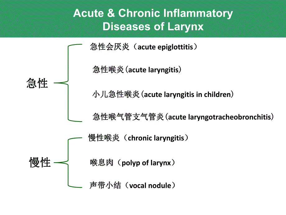 喉的急慢性炎症性疾病..ppt_第2页
