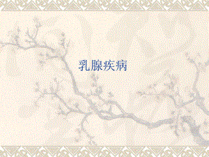 乳腺疾病.ppt