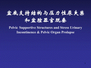 医学盆底支持结构与压力性尿失禁和盆腔器官脱垂（Pelvic Supportive.ppt